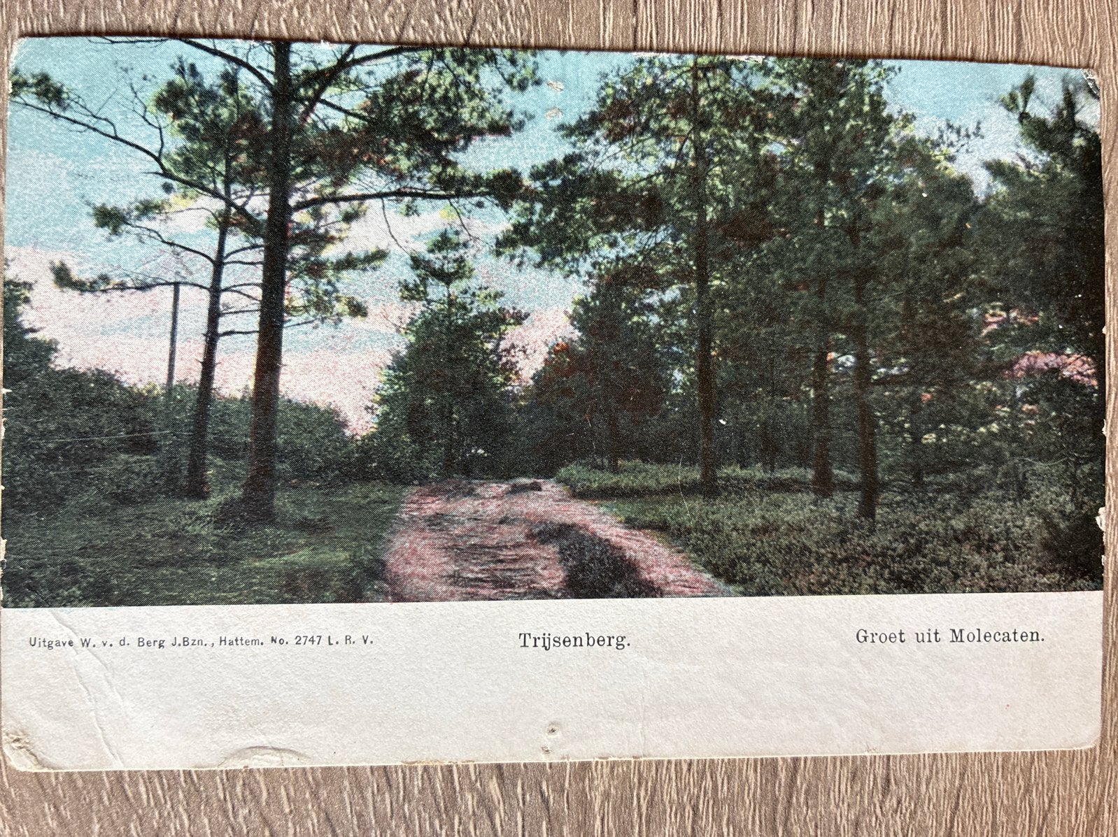Oude ansichtkaart Molecaten, Trijsenberg 1906, Verzamelen, Ophalen of Verzenden, 1920 tot 1940, Gelopen, Gelderland