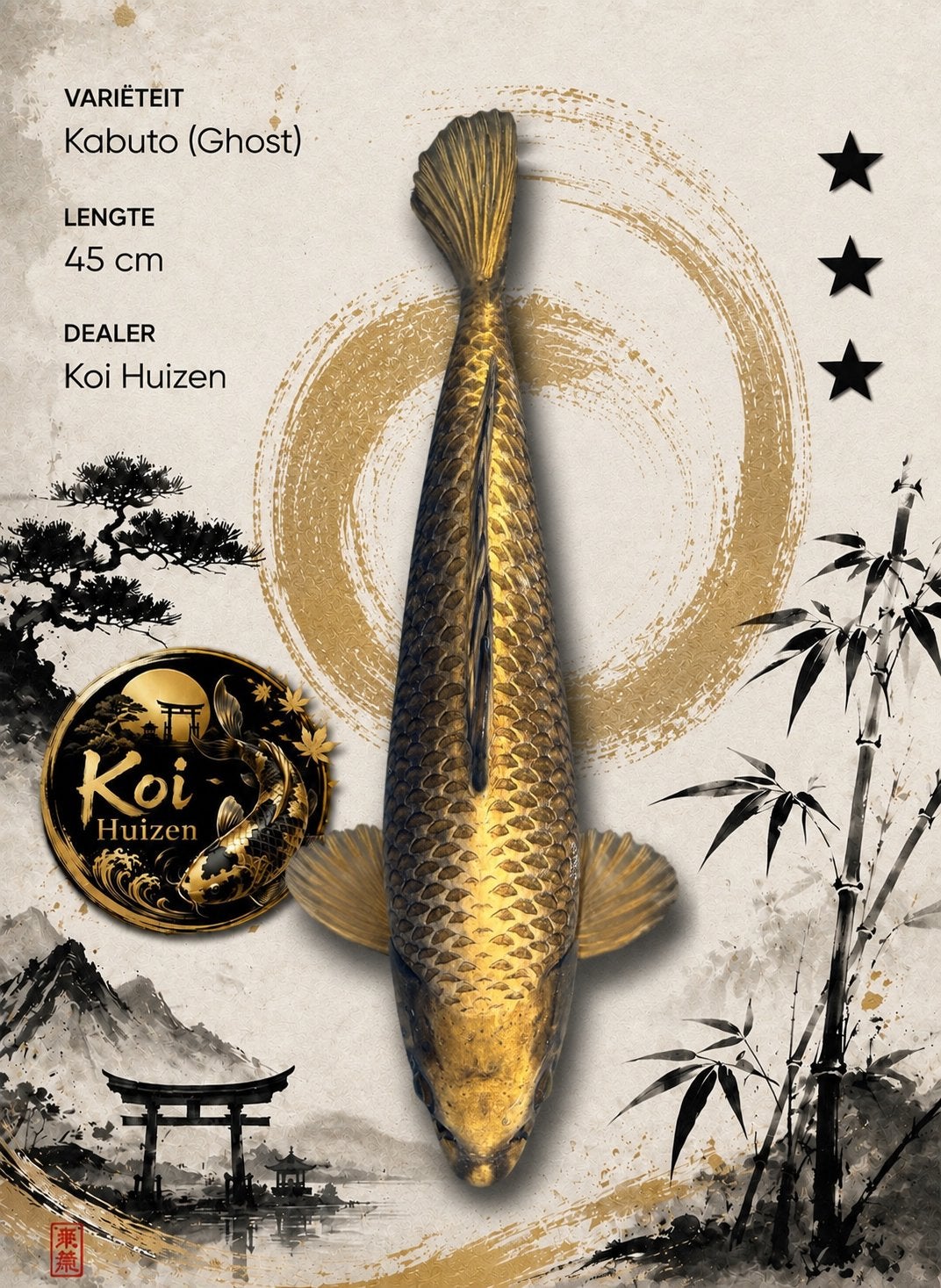 Kabuto koi 45-50cm, Karper of Koi