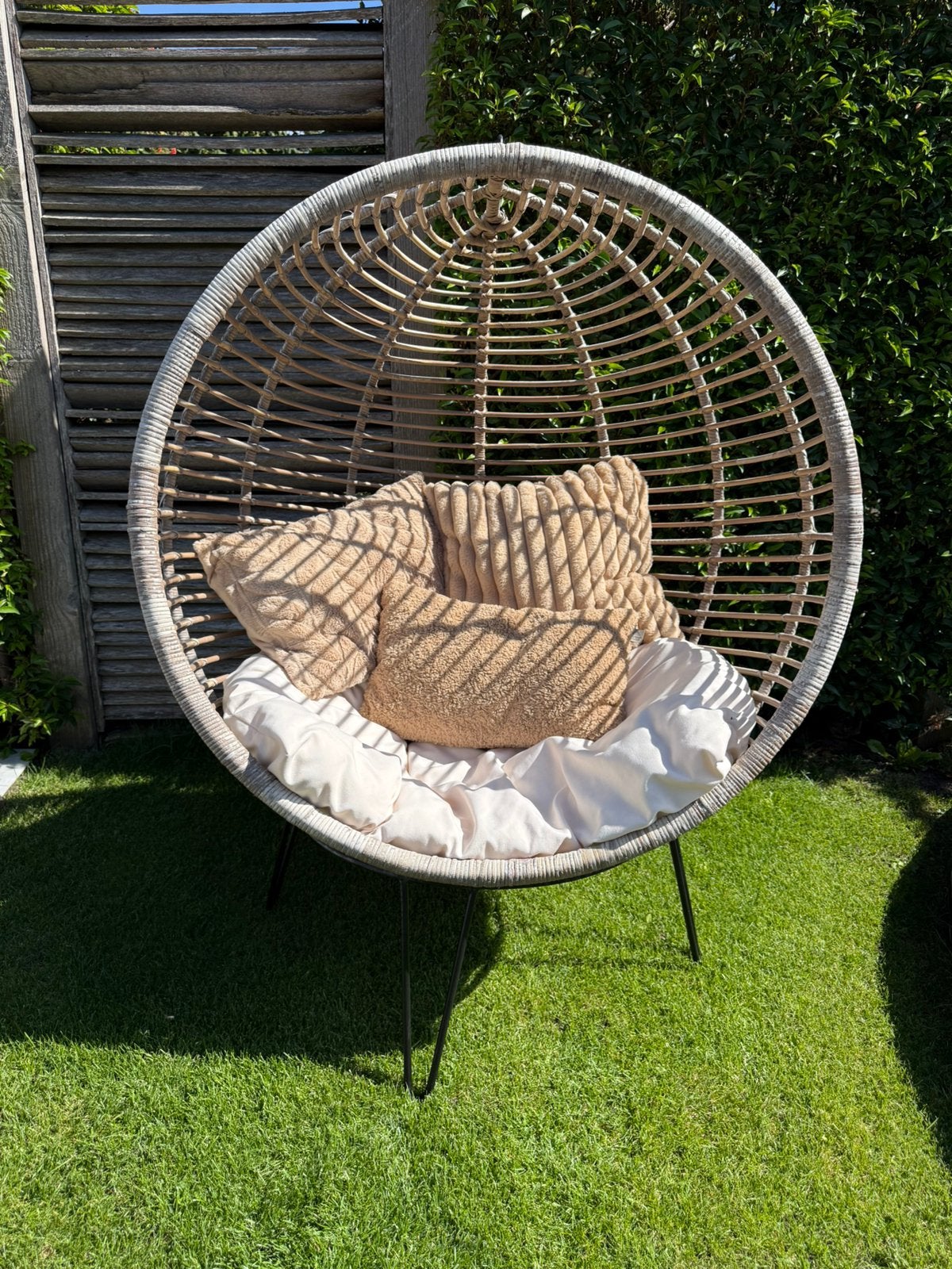 Egg chair Sissy boy, Tuin en Terras, Ophalen, Zo goed als nieuw