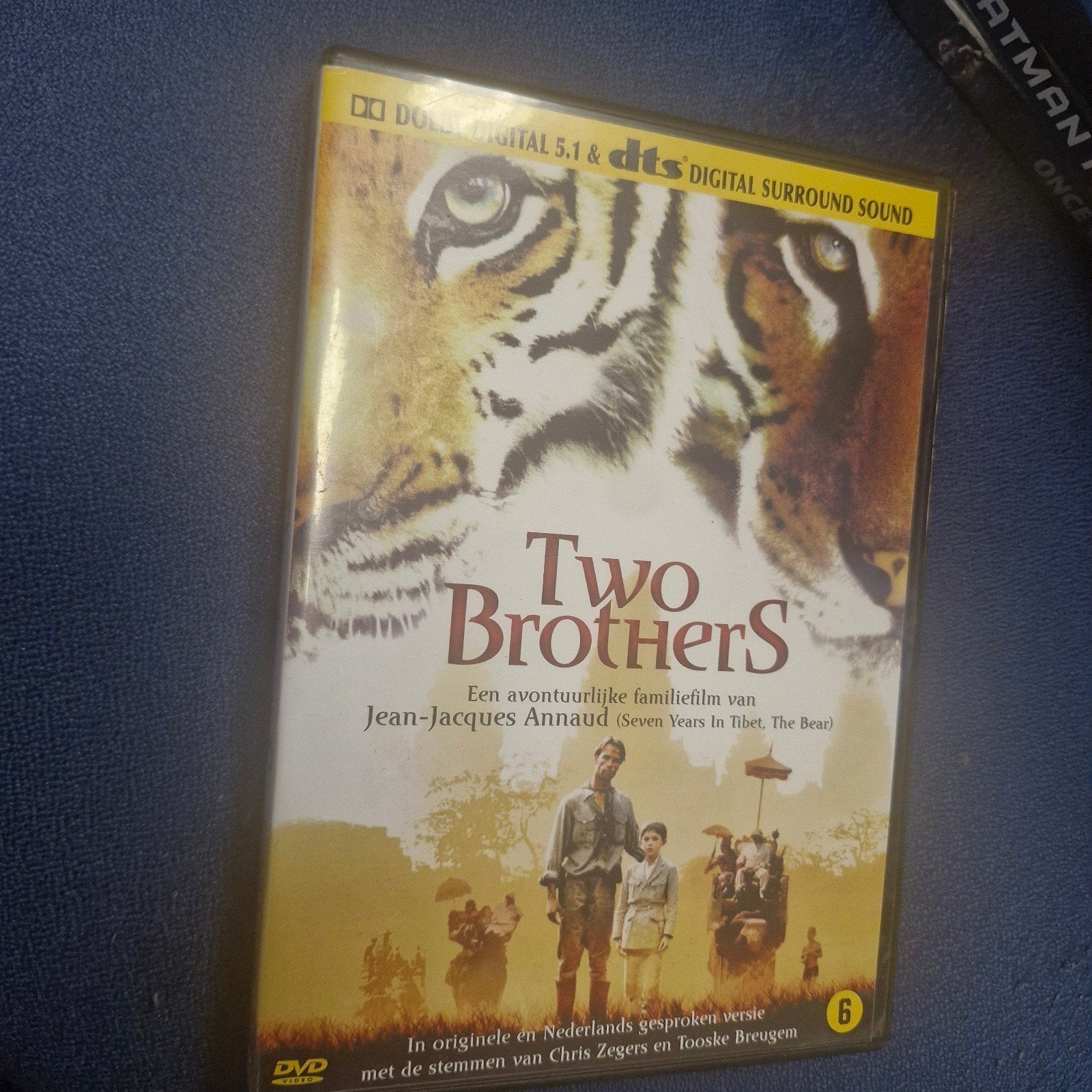 Two Brothers DVD - Avontuurlijke Familiefilm, Gebruikt, Ophalen of Verzenden, Vanaf 6 jaar, Inclusief doosje