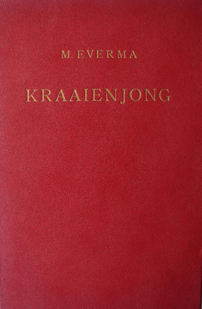 Jeugdboek Kraaienjong, Boeken, Kinderboeken | Jeugd | 13 jaar en ouder, Ophalen of Verzenden, Gelezen, M. Everma, Fictie