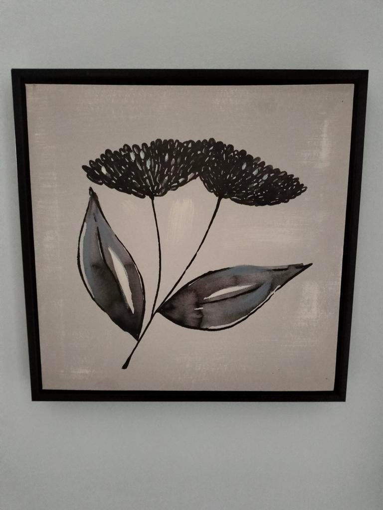 Wit zwart canvas, print, doek van een berenklauw, Minder dan 50 cm, Ophalen of Verzenden, Minder dan 50 cm, Print