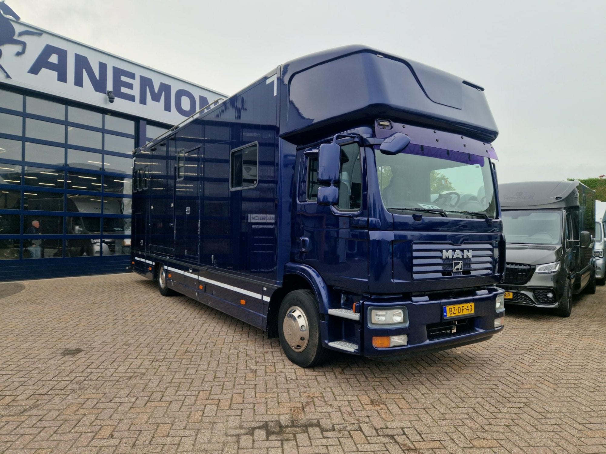 MAN TGM Roelofsen 5 paards paardenvrachtwagen met living Ane, Gebruikt, Overige typen