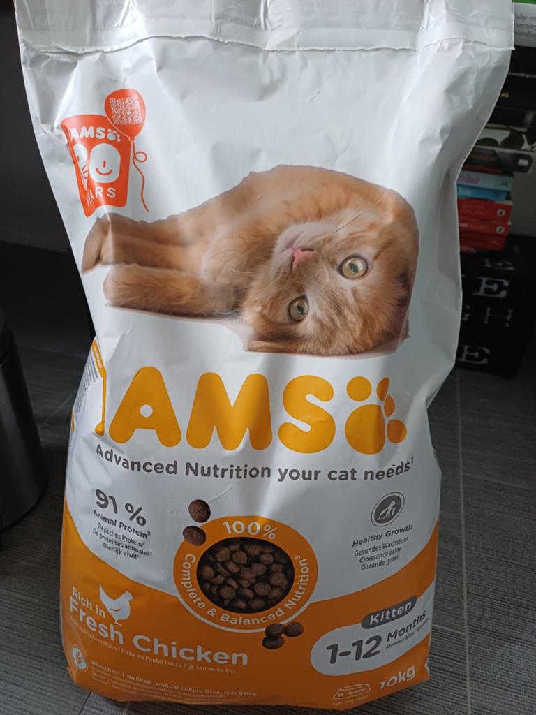 Iams 10 kg kittenvoer kip (1-12  months fresh chicken ), Ophalen, Kat