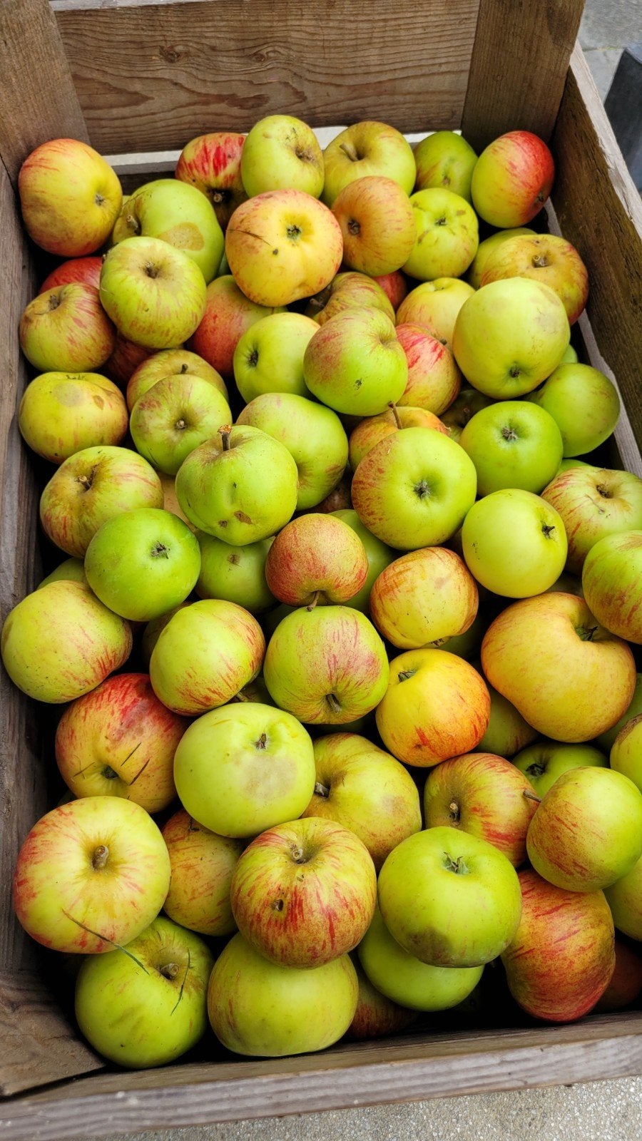 heerlijke moesappels., Diversen, Ophalen