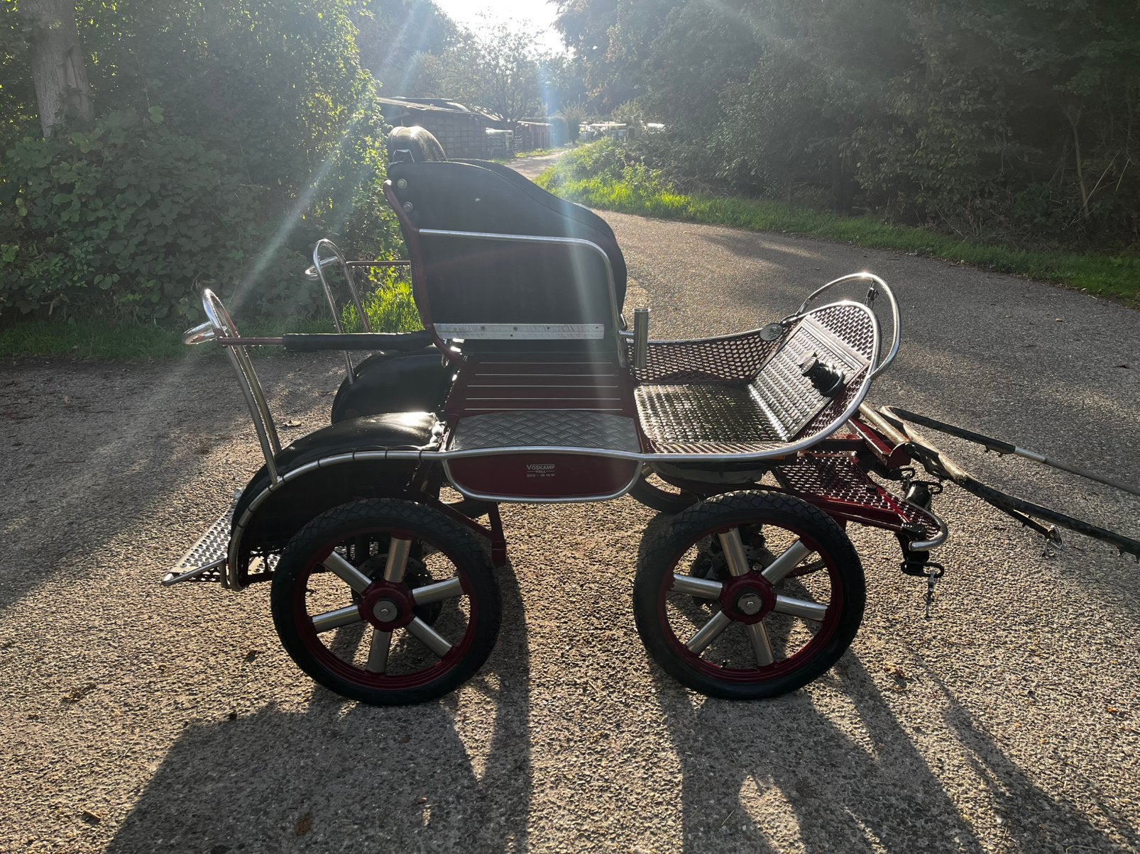 Nette vosskamp marthon wagen., Merrie, Zadelmak, 3 tot 6 jaar