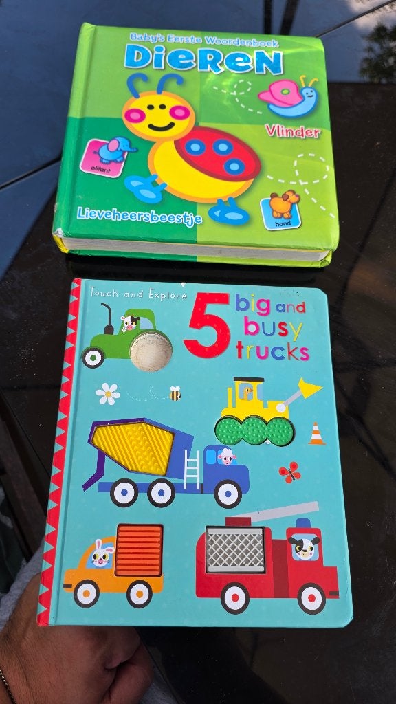 Speelgoed, Kinderen en Baby's, Speelgoed | Houten speelgoed, Ophalen, Gebruikt, Overige typen