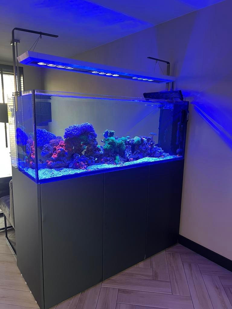 Red Sea Peninsula 650 – Topstaat!, Dieren en Toebehoren, Red Sea, Gevuld zeewateraquarium, Ophalen of Verzenden, Zo goed als nieuw
