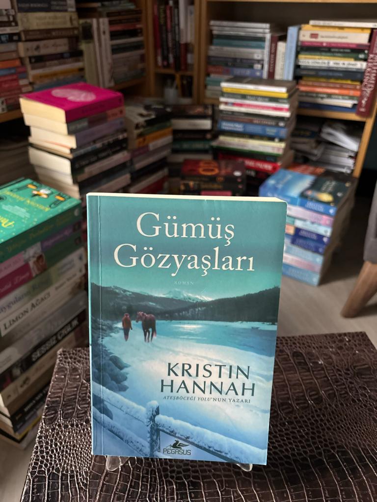 Gümüş Gözyaşları - Kristin Hannah (Turks), Ophalen of Verzenden, Zo goed als nieuw, Wereld overig