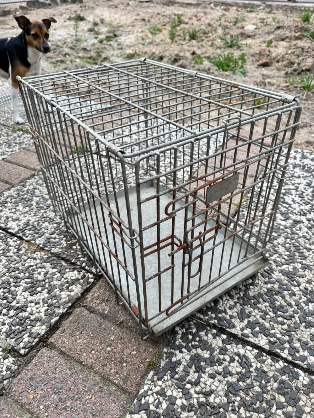 Hondenbench, Dieren en Toebehoren, Ophalen, Gebruikt