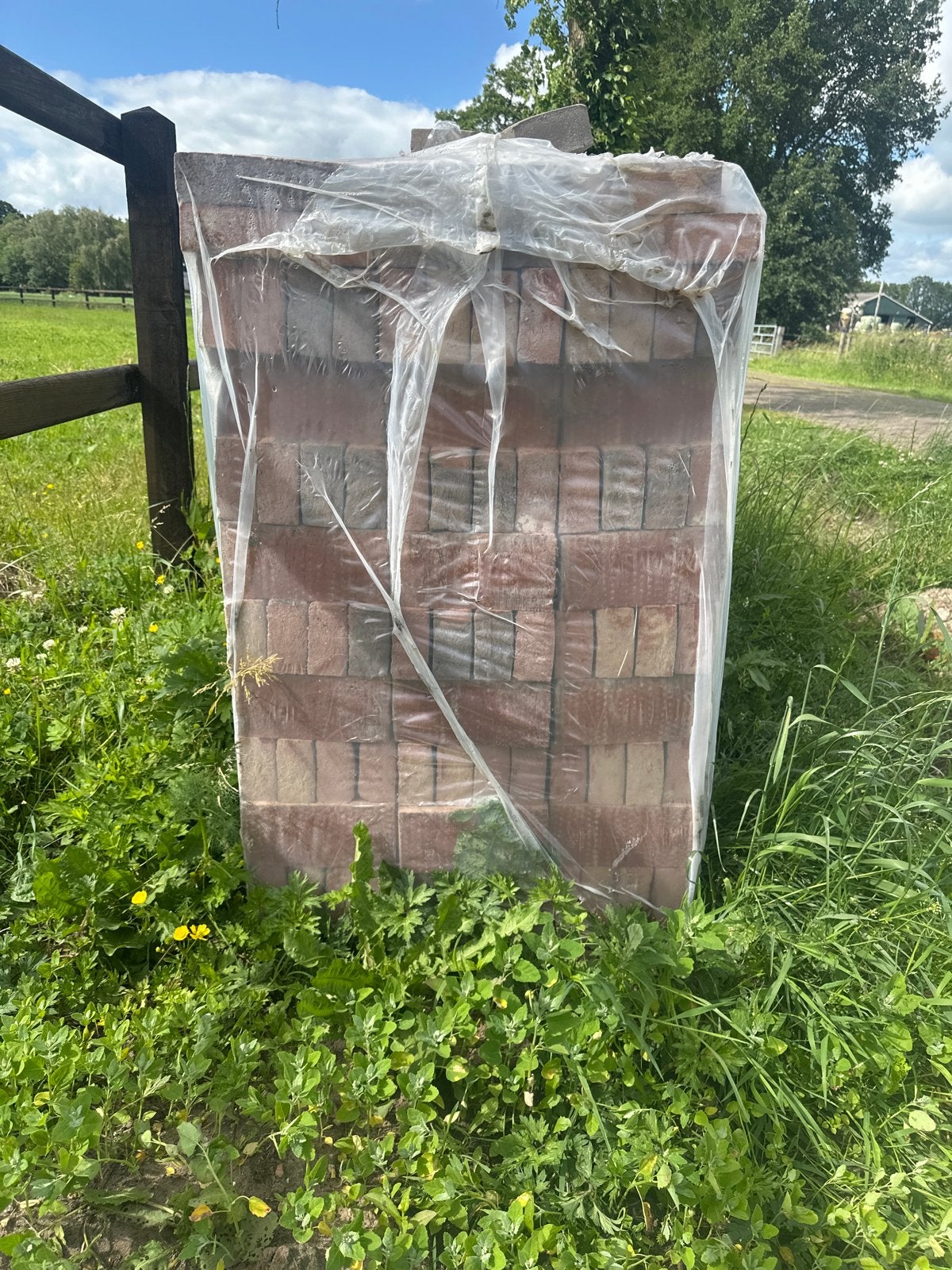 648 Nieuwe Patromonia Pastorale Bakstenen (in verpakking), Ophalen of Verzenden, Nieuw, Bakstenen