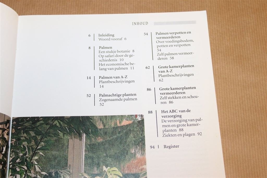 Palmen en Andere Grote Kamerplanten — Plantengids, Ophalen of Verzenden, Gelezen, Interieur en Design