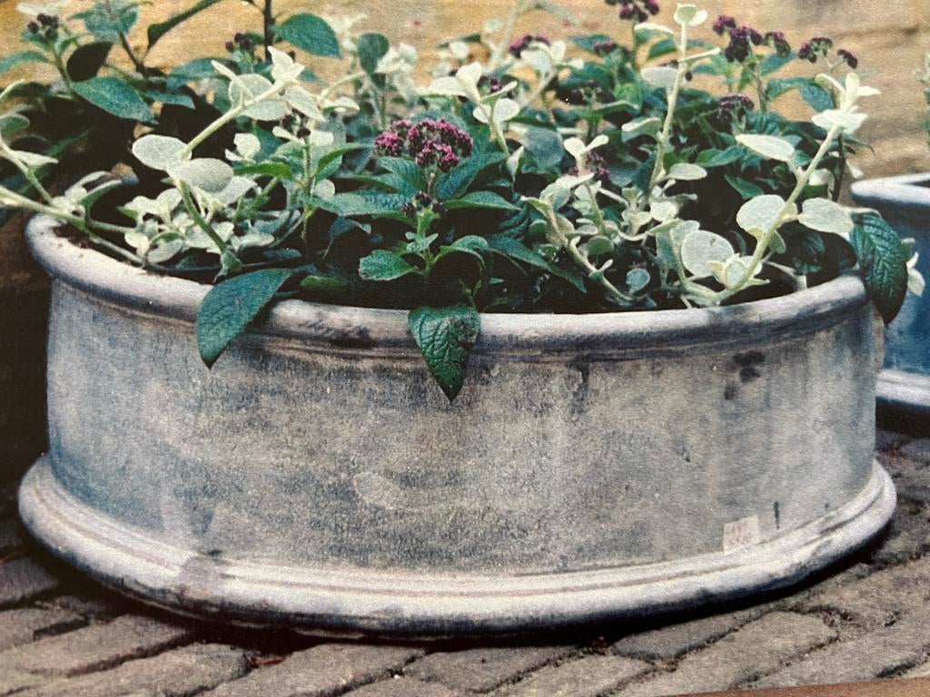 Loden plantenbak voor eenjarigen, Tuin en Terras, Ophalen, Overige materialen, Gebruikt, Minder dan 30 cm