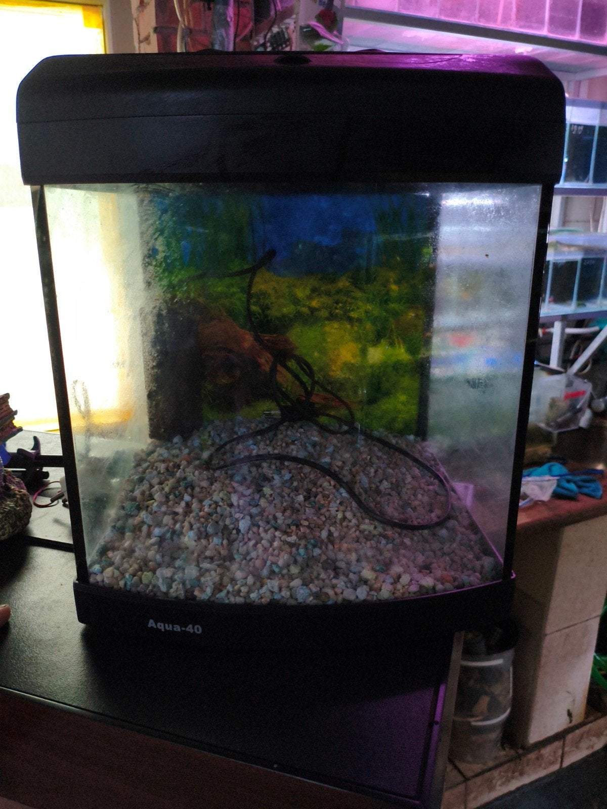 aqua 40 aquarium, Ophalen, Gebruikt, Leeg aquarium, Inclusief deksel