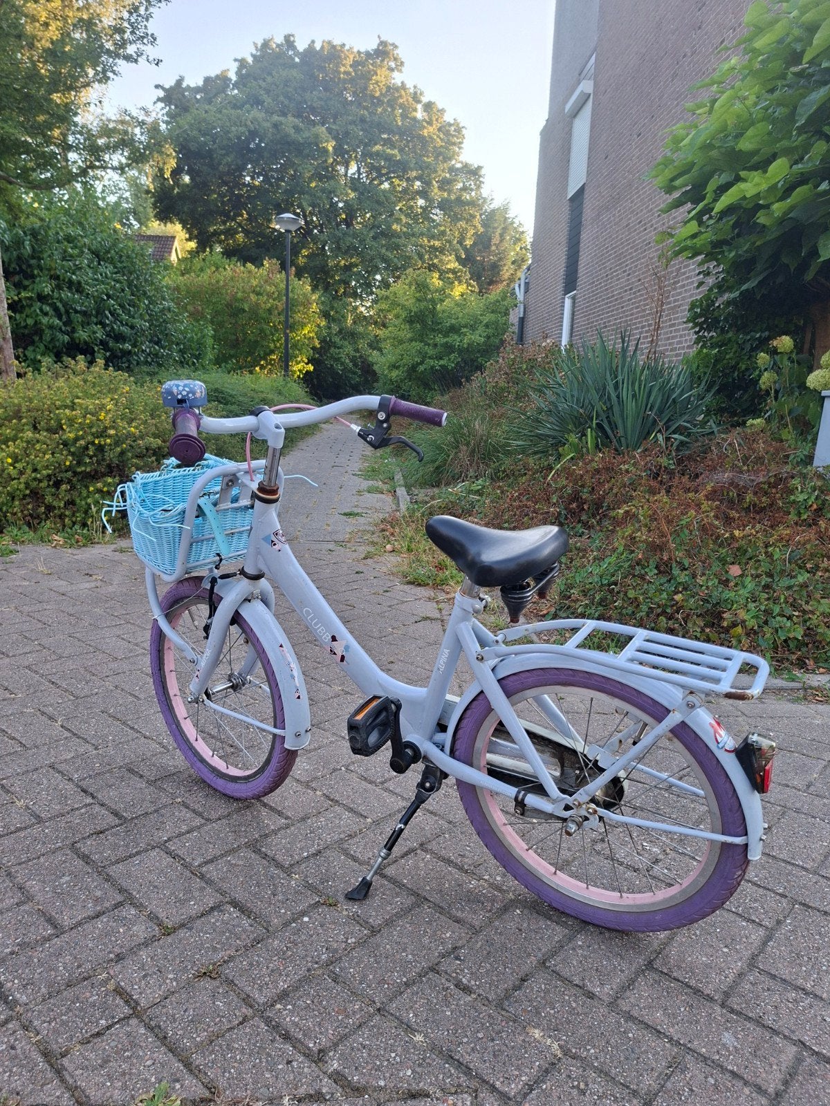 Meisjesfiets 18 inch, Ophalen, Gebruikt, 18 inch, Alpina Clubb