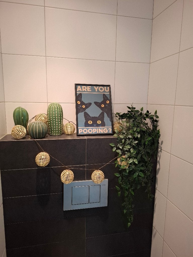 Cats Frame for Toilet, Ophalen