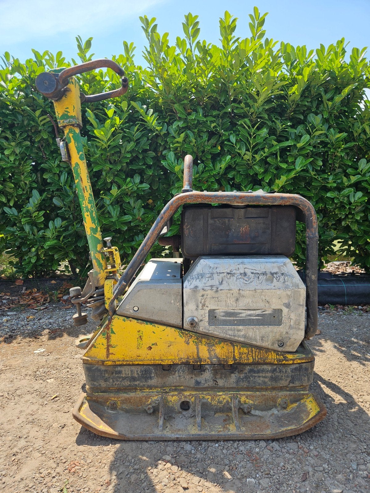 Wacker DPU 6055 Trilplaat Hatz Diesel, Ophalen, Gebruikt