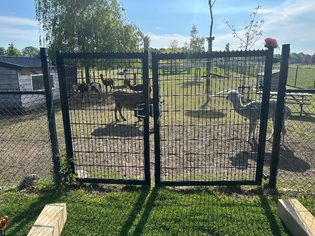 Poort hekwerk, Tuin en Terras, Ophalen of Verzenden, Gebruikt, IJzer