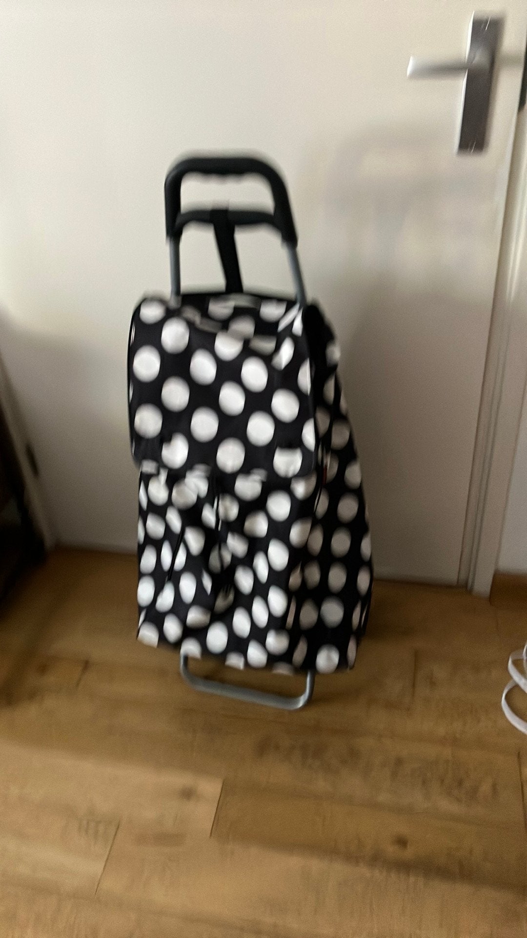 Boodschappen karretje, Sieraden, Tassen en Uiterlijk, Tassen | Reistassen en Weekendtassen, Ophalen, Zo goed als nieuw, 30 cm of meer