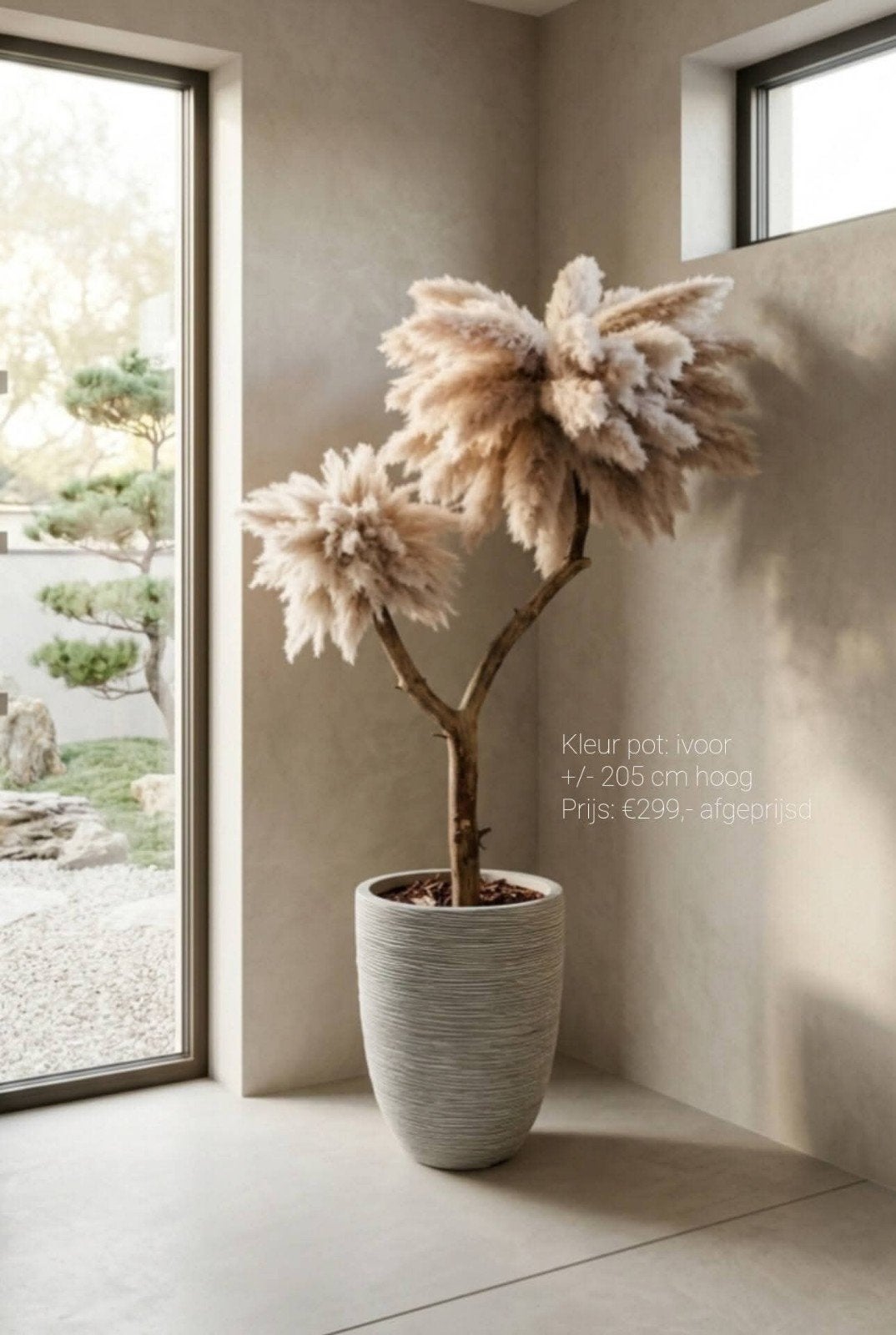 Pampas bomen incl pot (div soorten) |Japandi |Hotel chique, Binnen, Natuurlijk materiaal, Handgemaakt, Nieuw