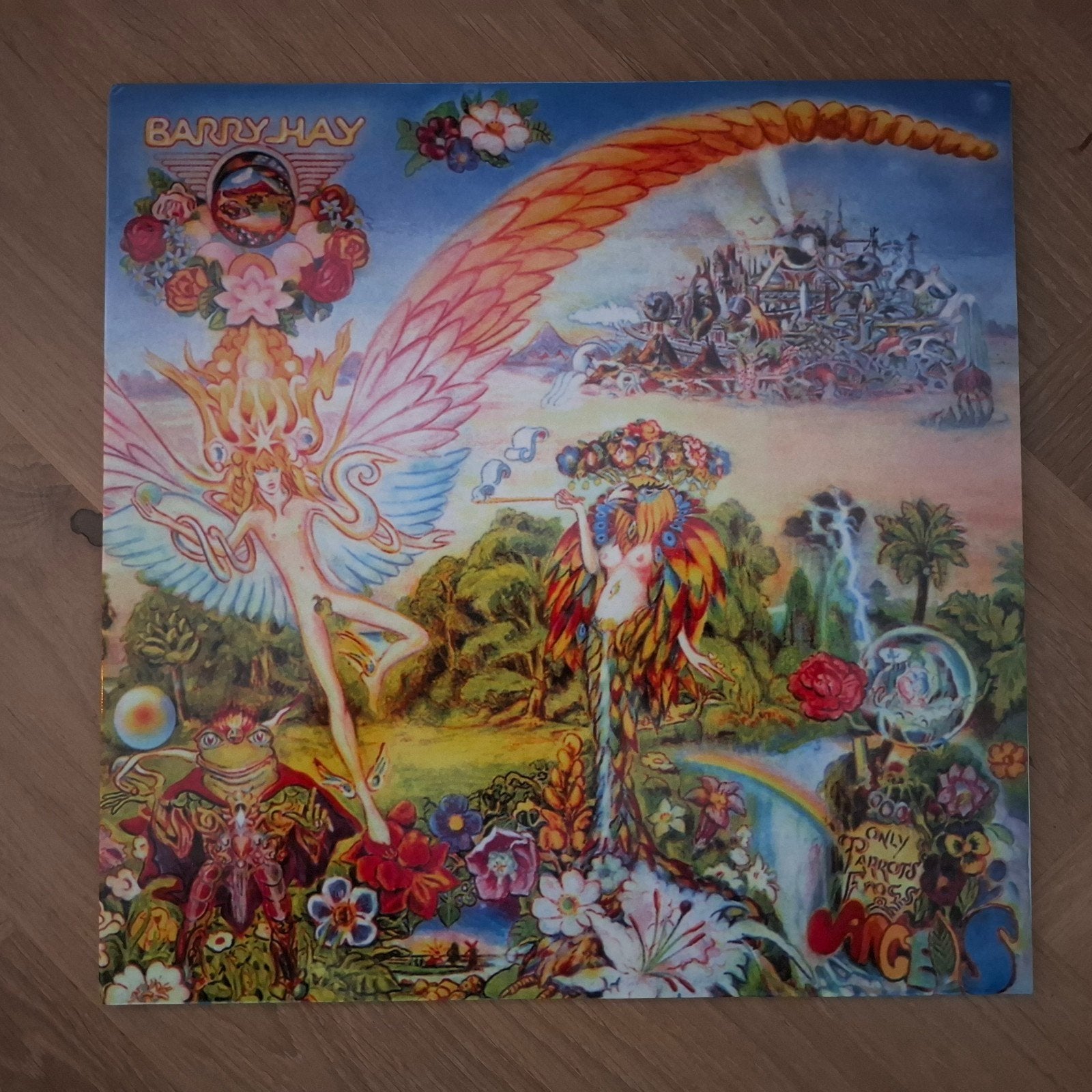 LP Barry Hay - Only Parrots, Frogs & Angels, Ophalen of Verzenden, Zo goed als nieuw, 12 inch