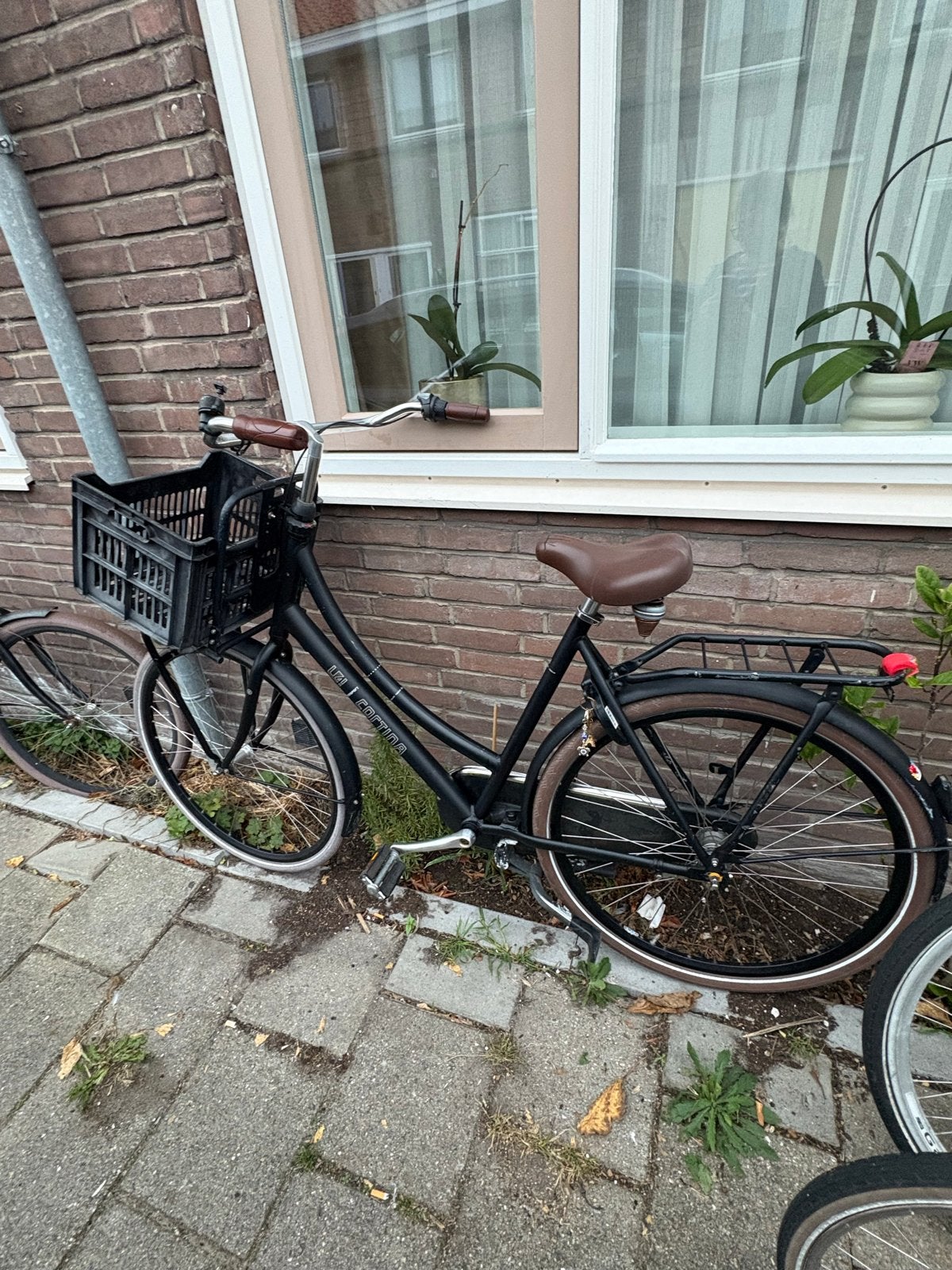 Cortina U4 fiets met voordrager en mand, Overige merken, Terugtraprem, Versnellingen, Ophalen of Verzenden