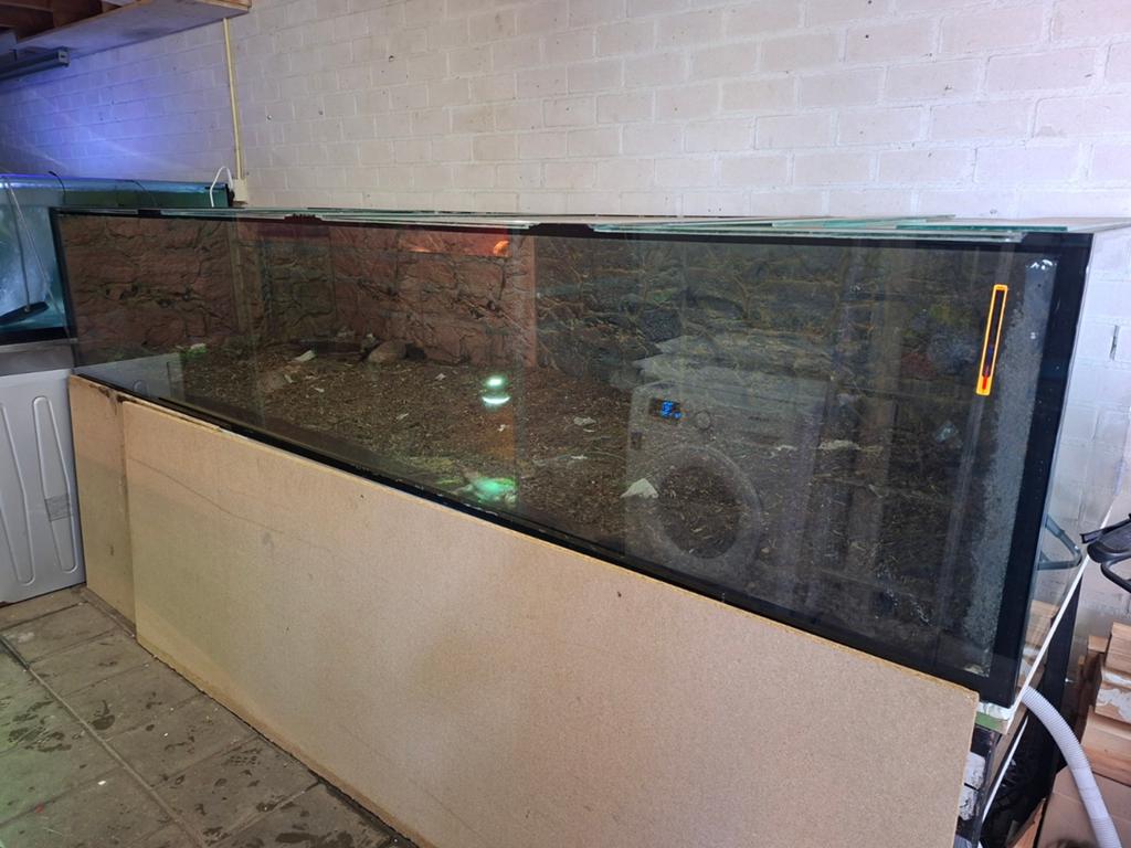 Groot terrarium 310x 100x 60., Ophalen, Gebruikt, Terrarium of Paludarium