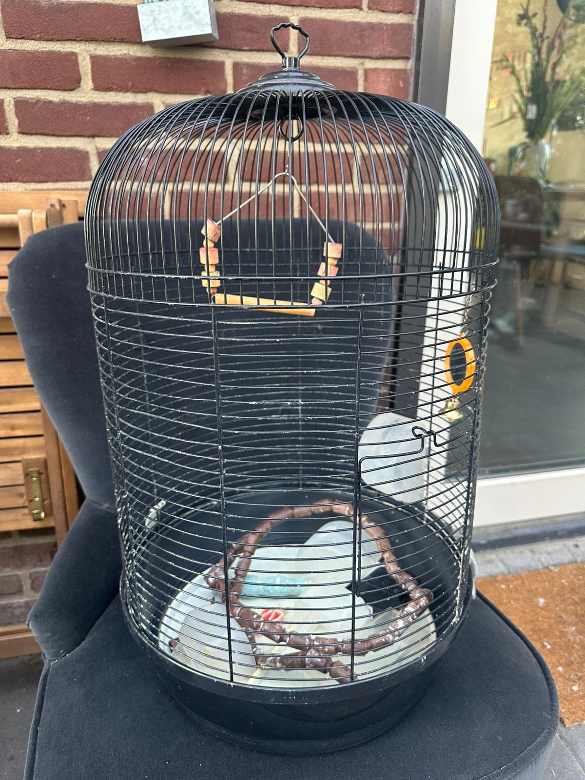 Vogelkooi 65 cm x 35 cm, Dieren en Toebehoren, Vogels | Hokken en Kooien, Ophalen, Zo goed als nieuw, Metaal, Vogelkooi