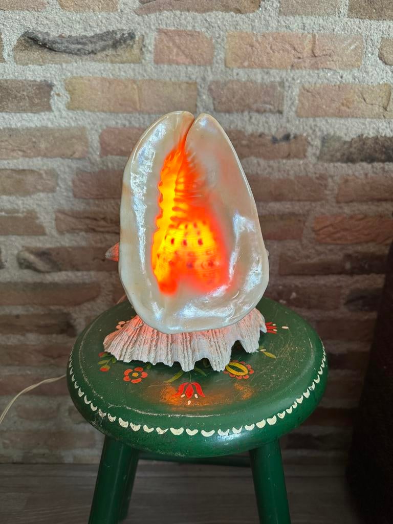 Cassis Cornuta schelp lamp, Ophalen of Verzenden