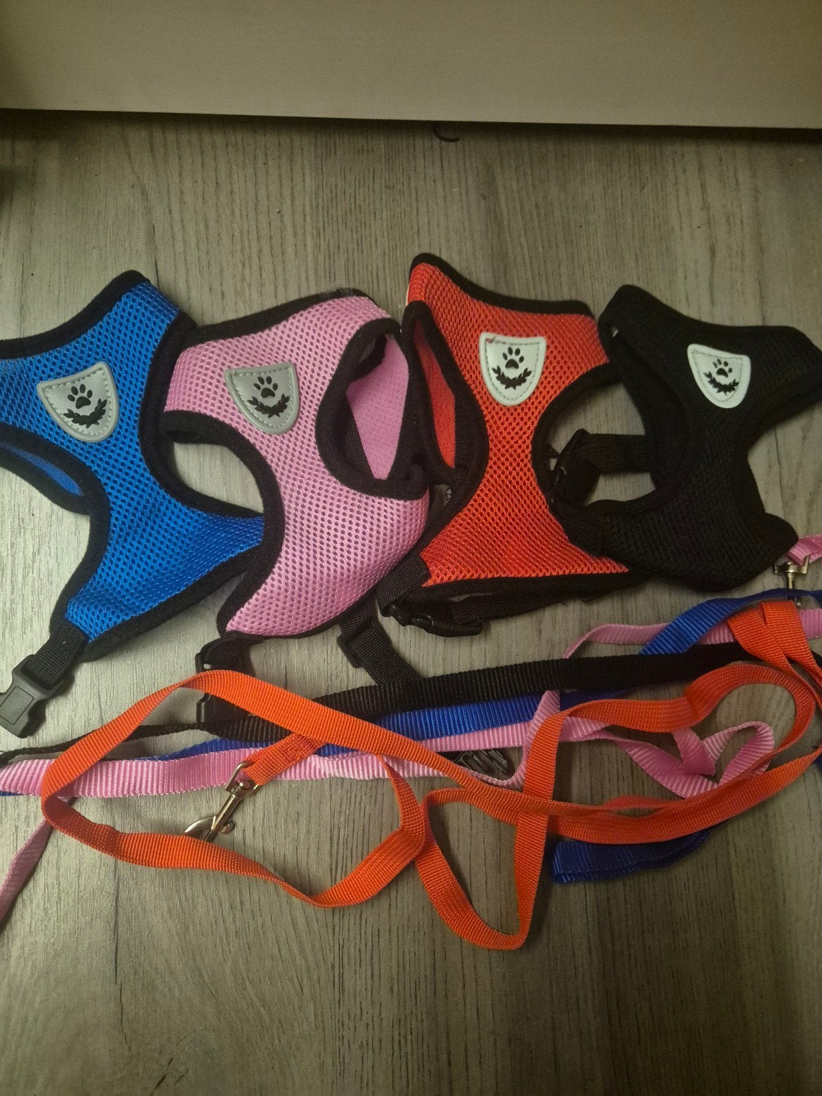 hondentuigjes met riem, Ophalen