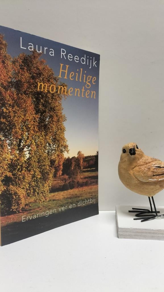 Reedijk, Laura; Heilige momenten, Ophalen of Verzenden, Gelezen, Christendom | Katholiek