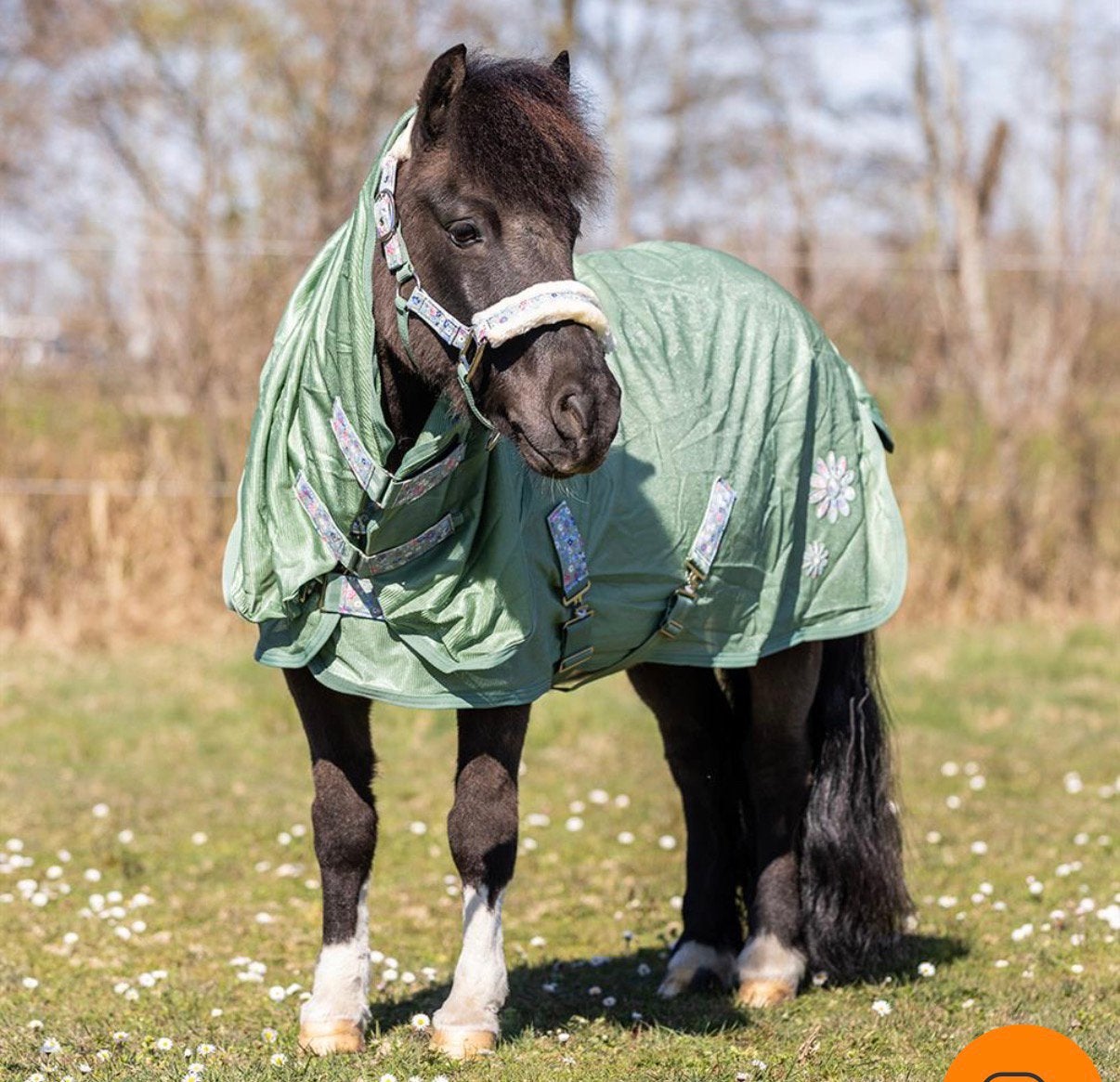 Nieuw vliegendeken met afneembare hals maat 110/145, Dieren en Toebehoren, Paarden en Pony's | Dekens en Dekjes, Ophalen of Verzenden