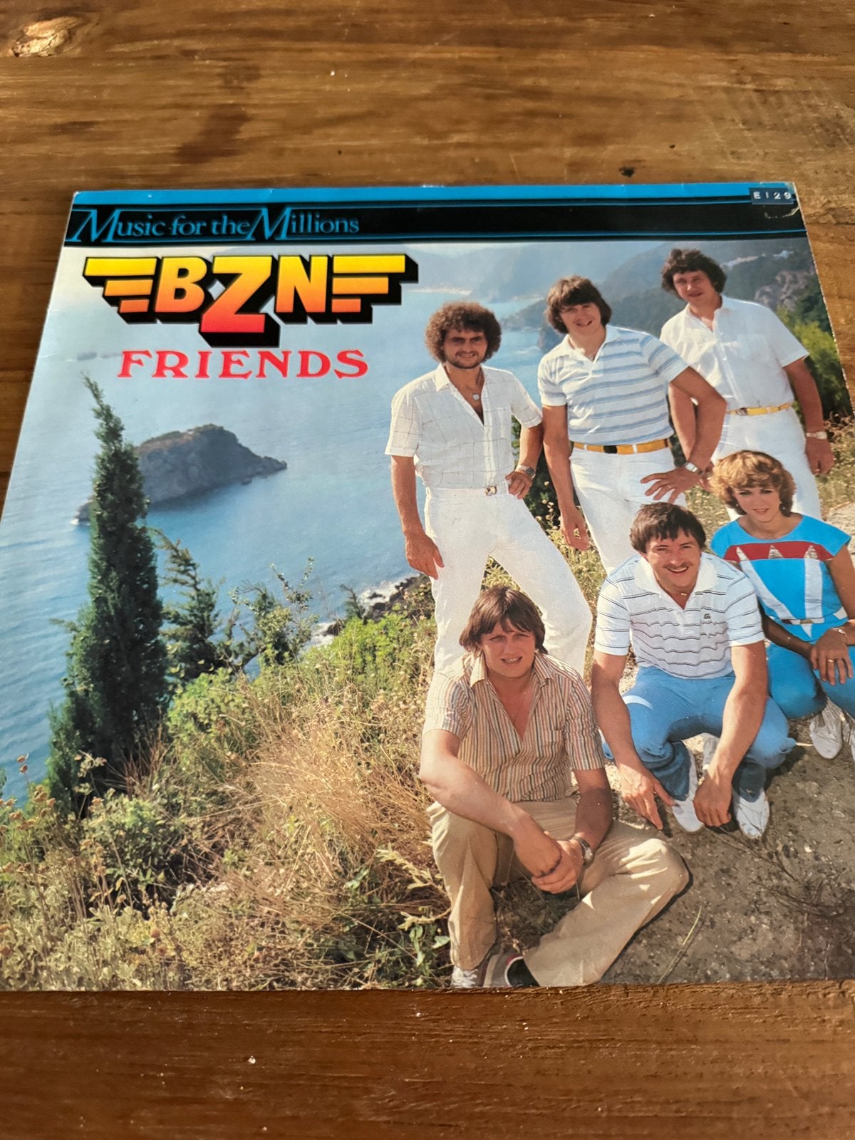 LP BZN, Ophalen of Verzenden, Zo goed als nieuw, 12 inch