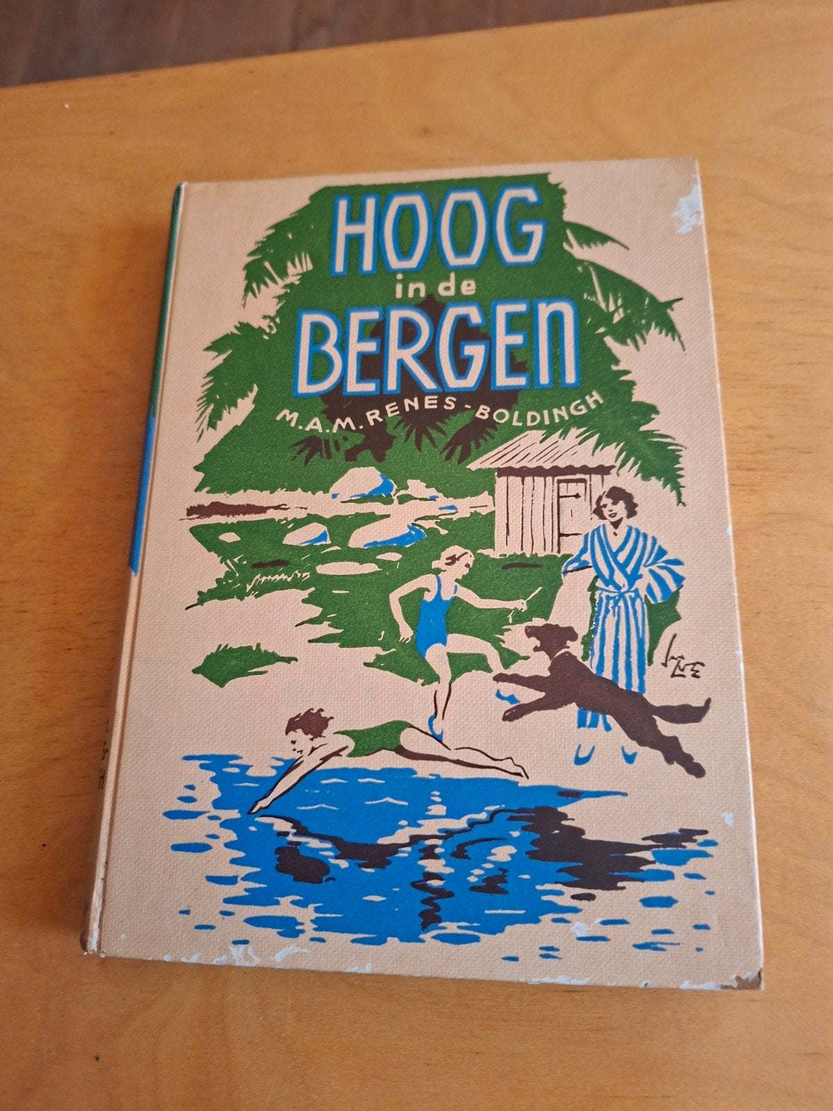Hoog in de Bergen - M.A.M. Renes-Boldingh (Gelezen), Boeken, Ophalen of Verzenden, Gelezen, M.A.M. Renes-Boldingh, Fictie algemeen