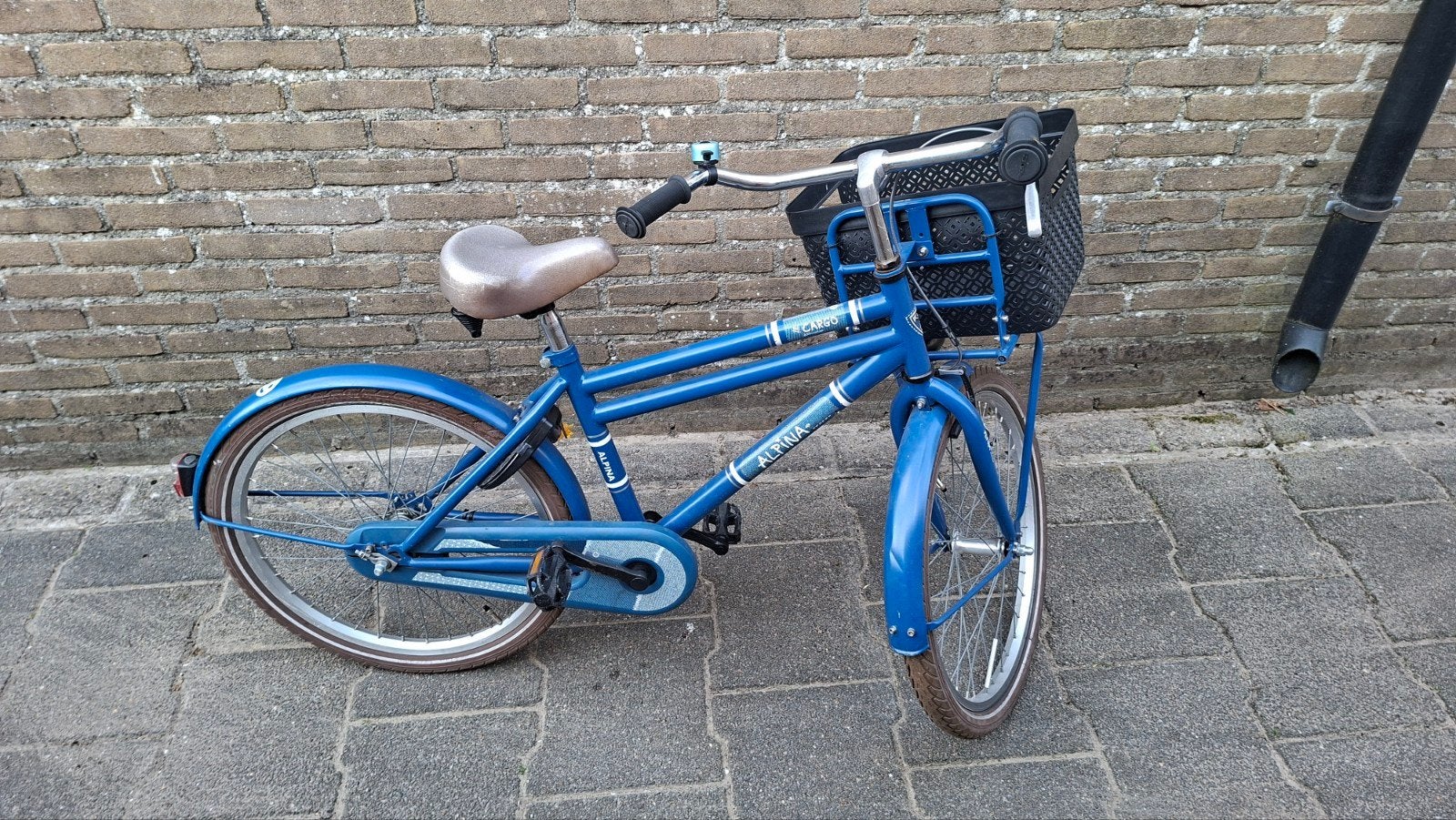 Alpina cargo kinderfiets 22 inch met mandje, Ophalen, Terugtraprem, 22 inch, Gebruikt