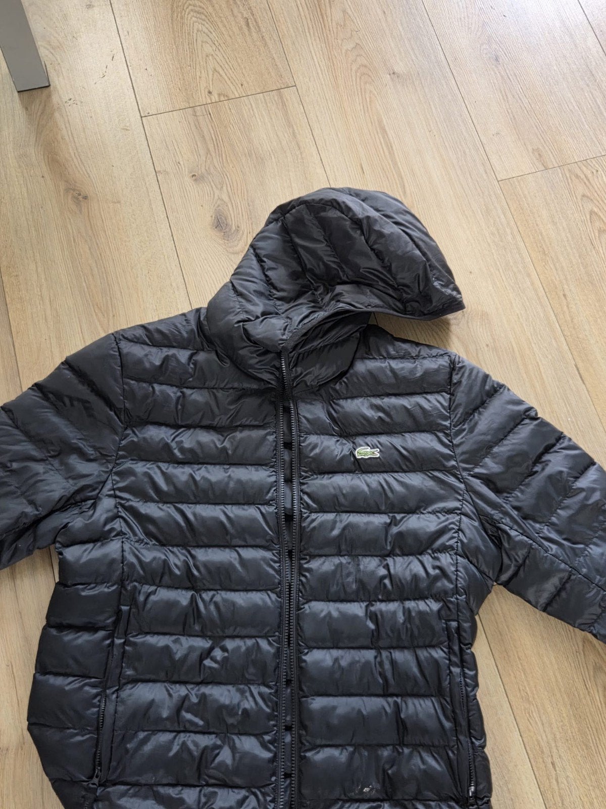 nieuwe lacoste jas, Ophalen, Maat 52/54 (L), Nieuw, Lacoste