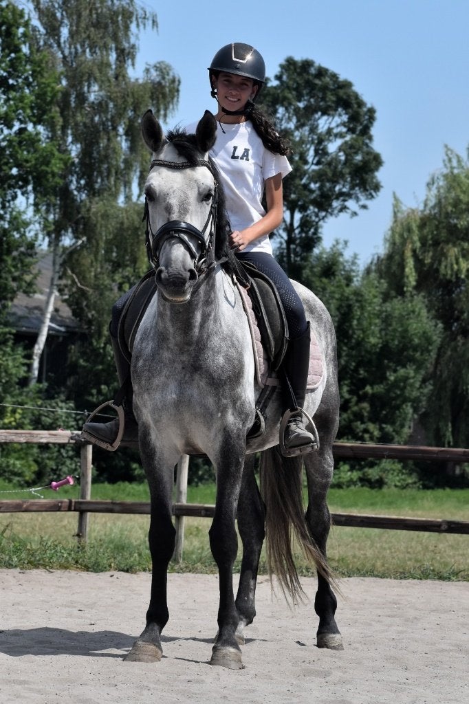 ## SUPER LEUKE, prachtige & lieve PRE ruin ##, Dieren en Toebehoren, Paarden, Met stamboom, Ruin, Dressuurpaard, 3 tot 6 jaar
