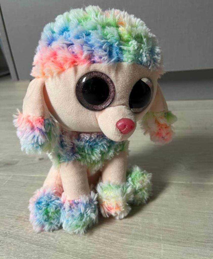 Ty Rainbow Hond Knuffel - Zo goed als nieuw, Zo goed als nieuw, Meerkleurig, Ty, Hond