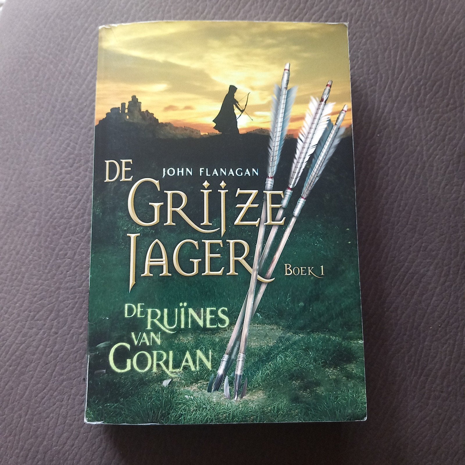 De Grijze Jager - De Ruïnes van Gorlan (Boek 1), Ophalen of Verzenden