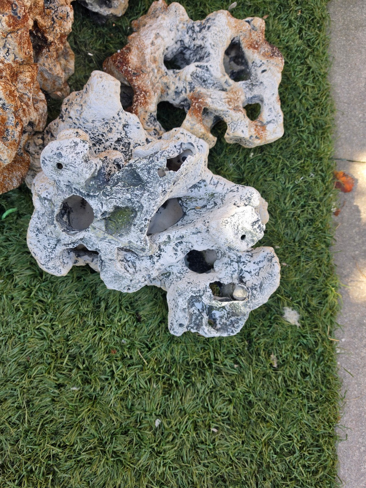 Grote aquarium stenen, Ophalen of Verzenden, Plant(en), Steen of Hout