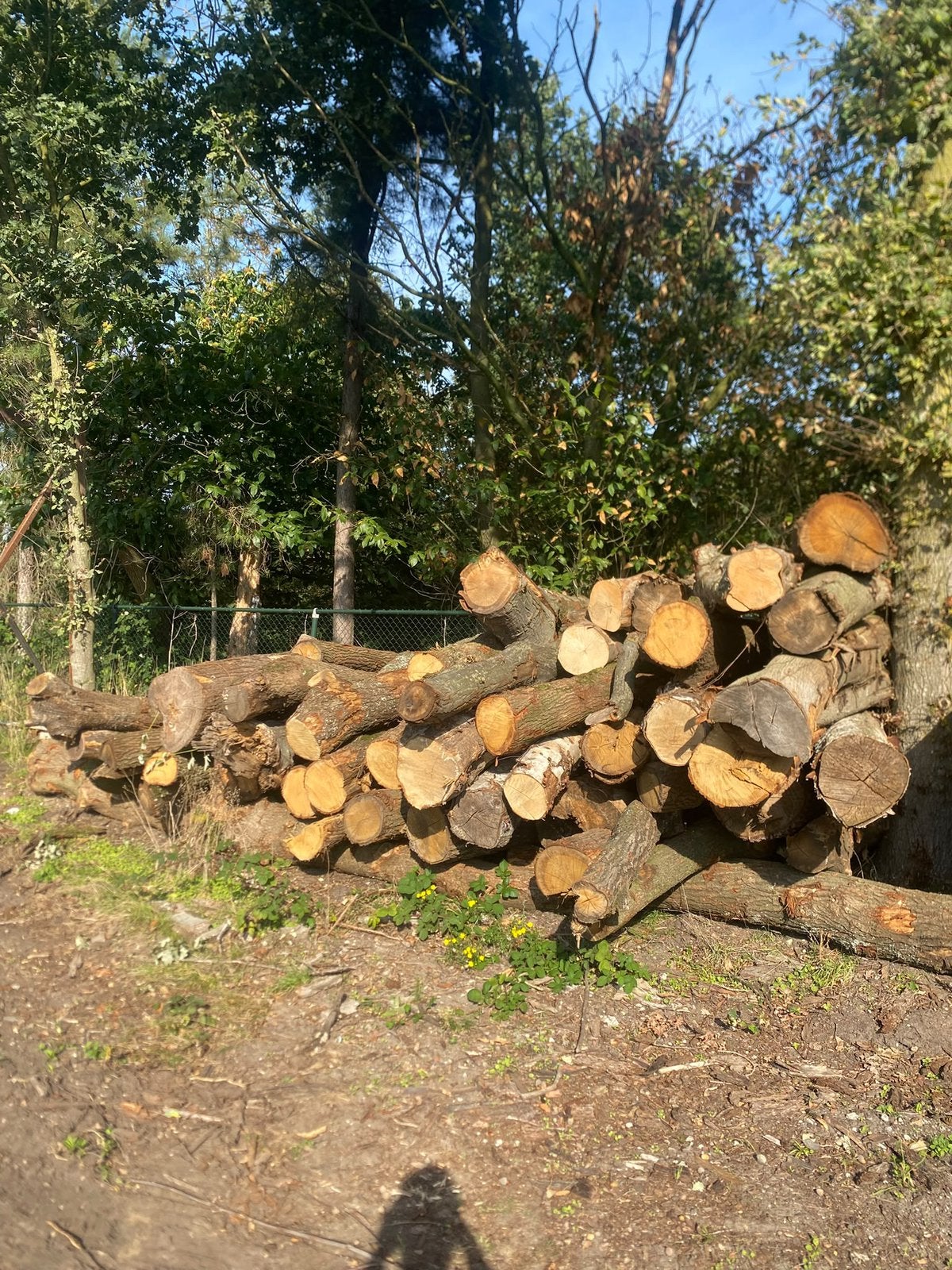 Stamhout Stookhout, Ophalen