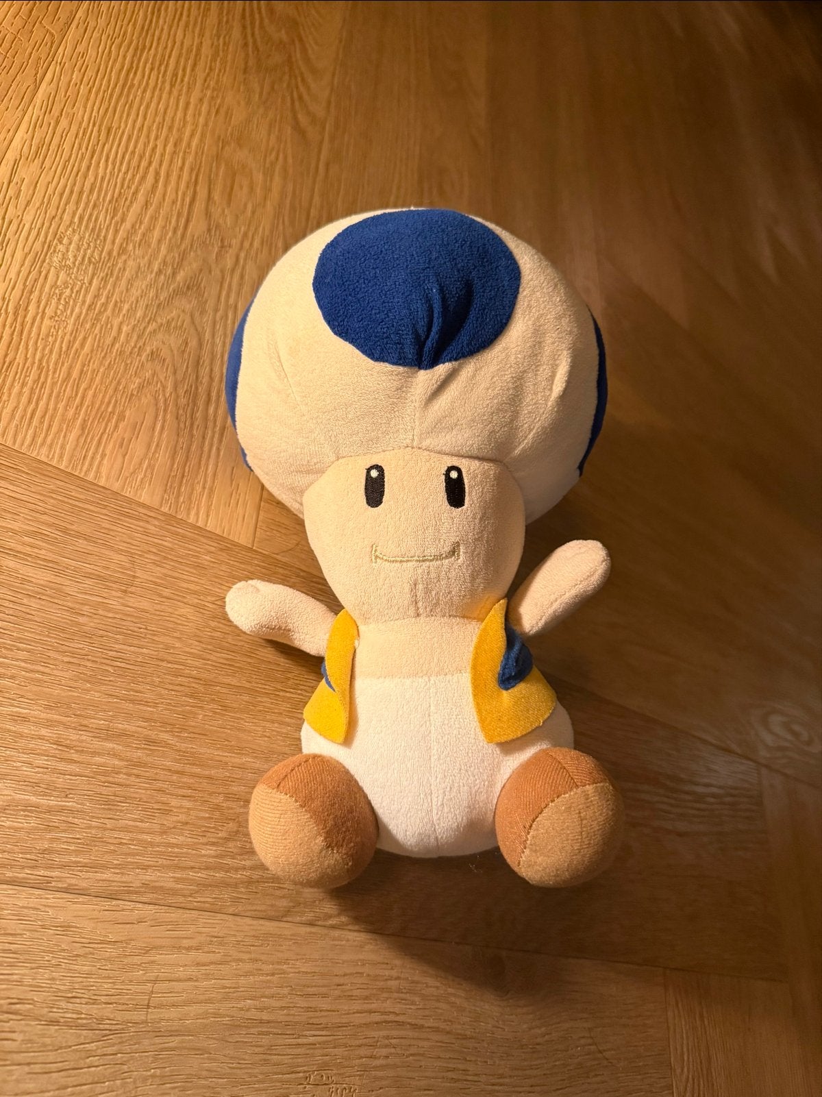 Diverse Knuffels: Super Mario, Paul Frank, be Ty Beanie Boo, Kinderen en Baby's, Overige typen, Ophalen of Verzenden, Zo goed als nieuw