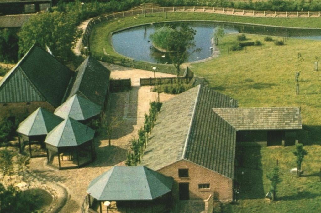 36323 Schaijk Gld 1977 Hertenkamp Gelopen met postzegel, Ophalen of Verzenden, 1960 tot 1980, Gelopen, Noord-Brabant