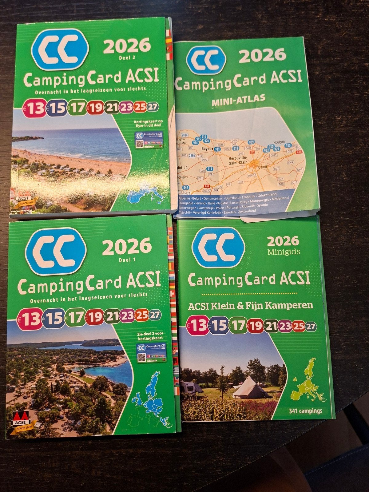 ACSI Campinggids zonder acsi kortings kaart., Overige merken, Europa, Ophalen of Verzenden, Zo goed als nieuw