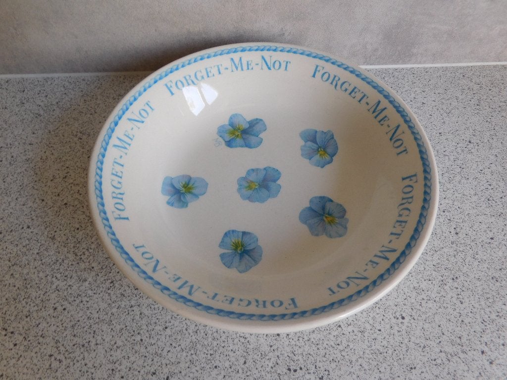 Schaal Forget-me-not Libelle V&D Marjolein Bastin - 18 cm, Overige merken, Keramiek, Vintage, Ophalen of Verzenden