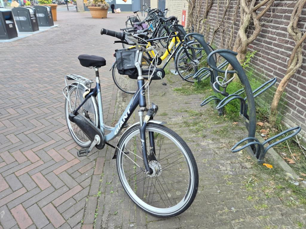 Giant dames fietsen, Ophalen of Verzenden, Overige merken