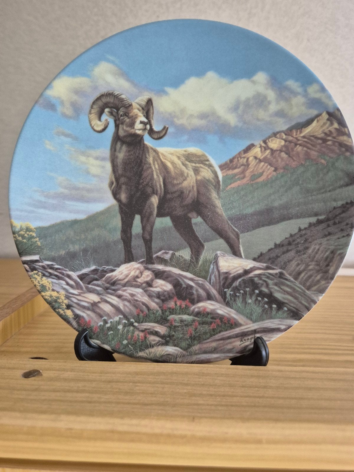 Dominion China Ltd. 'Wild and Free Canada' decorative borden, Ophalen of Verzenden