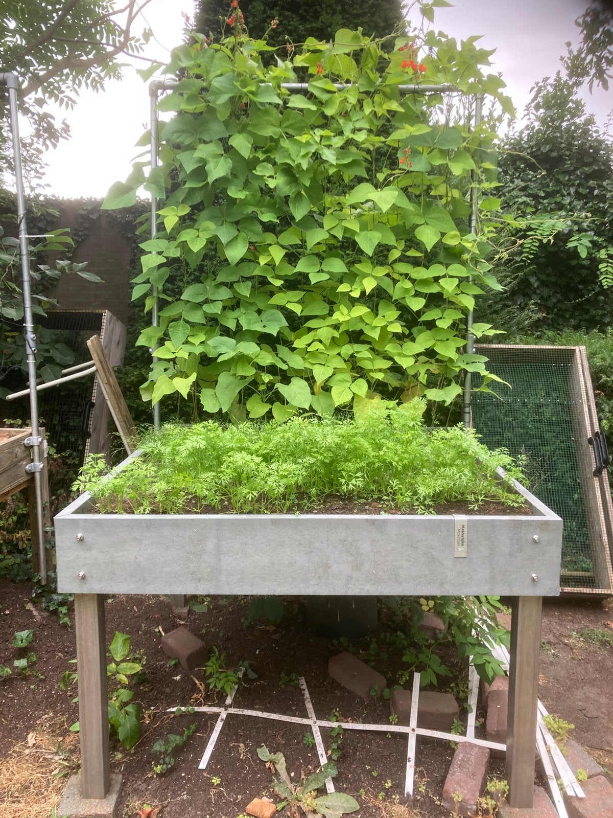 Moestuin bak 120-120-20hoog, Tuin en Terras, Ophalen, Zo goed als nieuw, Kweekbak