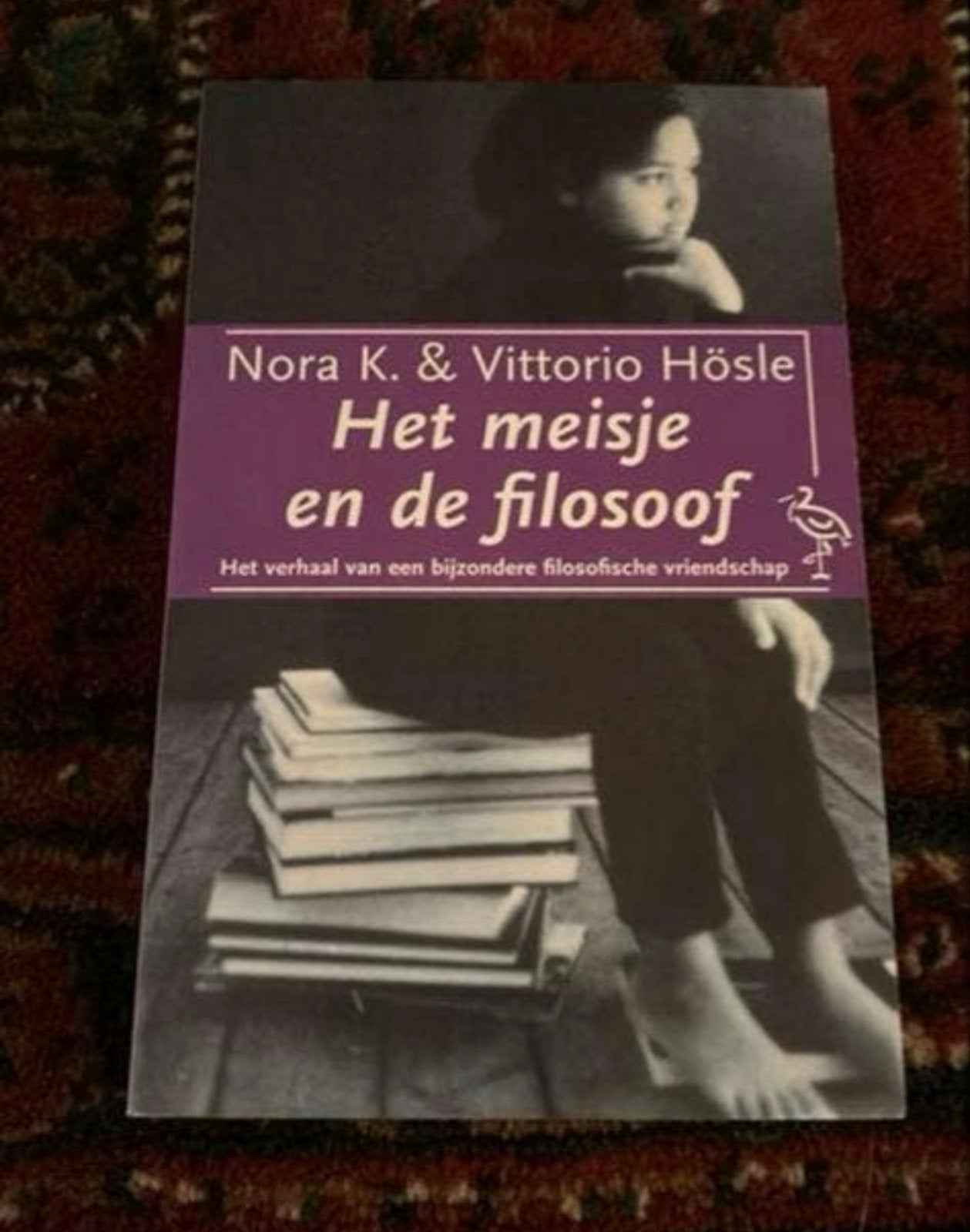 Het meisje en de filosoof - Nora K. & Vittorio Hösle, Ophalen of Verzenden, Gelezen, Algemeen
