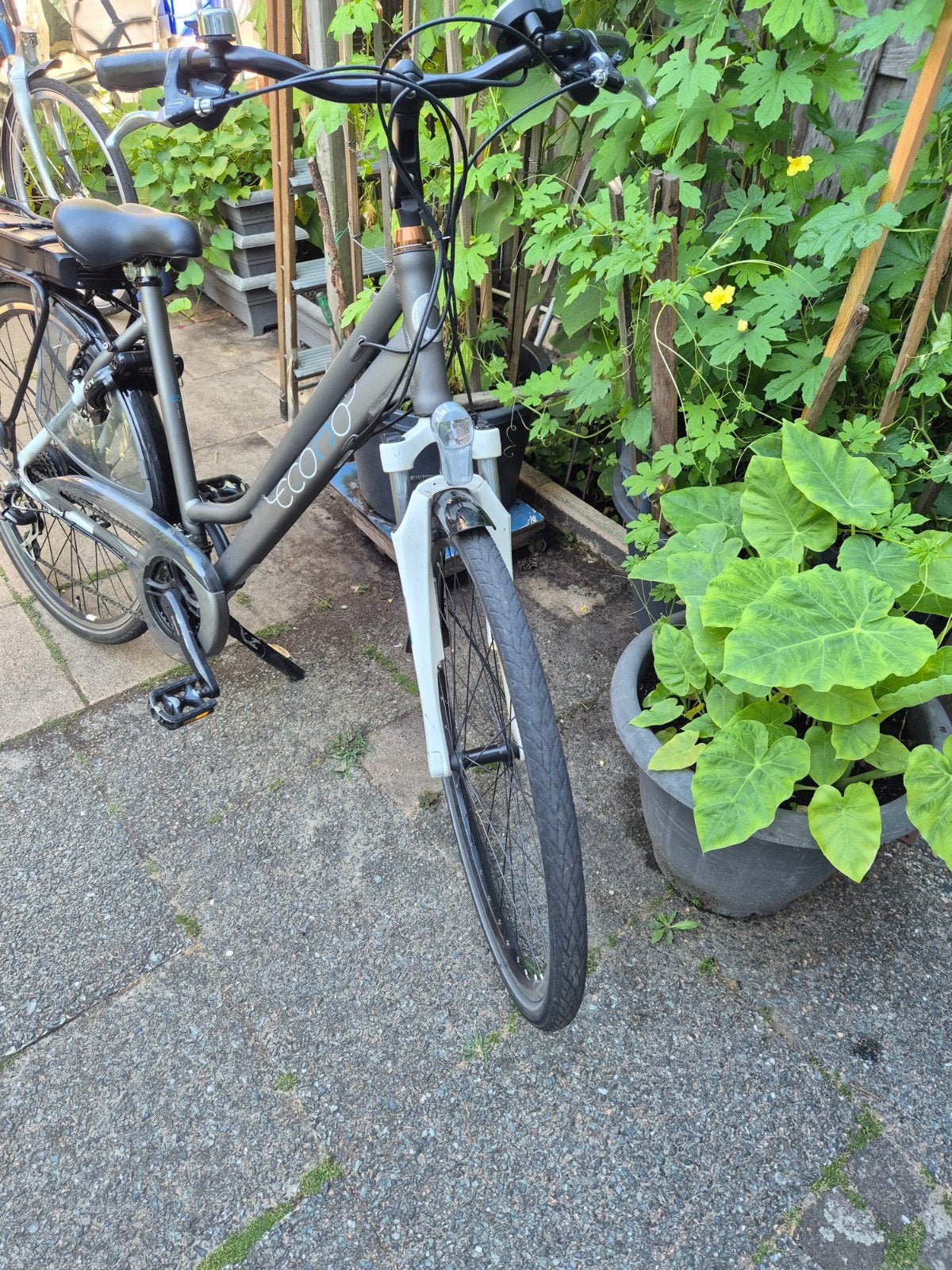 Cortina ecomo ebike & oma burgers transport, Fietsen en Brommers, Fietsen | Dames | Damesfietsen, 50 tot 53 cm, Ophalen of Verzenden